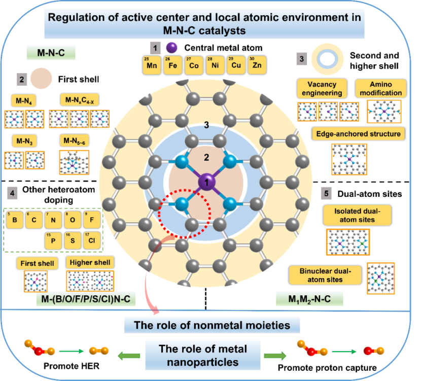 揭秘！北京林业大学科研实力如何？仅一个月，就有8项成果引发全球关注！