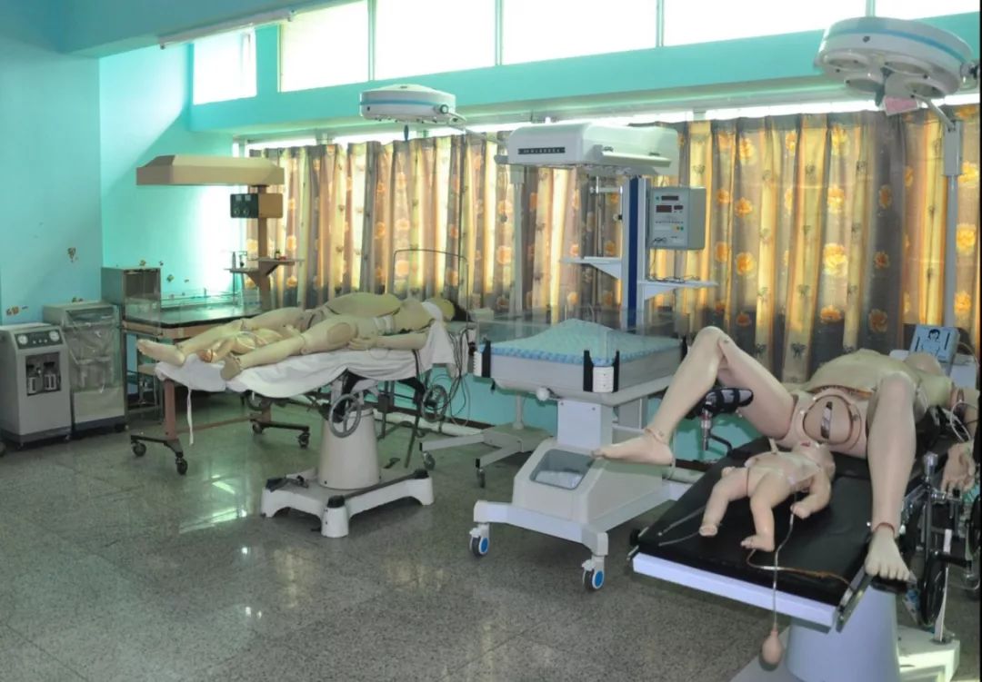 2020年3+证书最低录取167分，广东江门中医药职业学院介绍