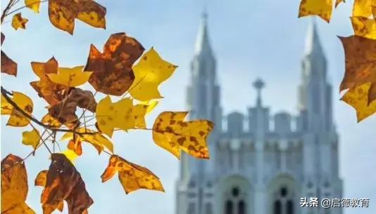 「院校介绍」波士顿学院：像秃鹰般俯视一切