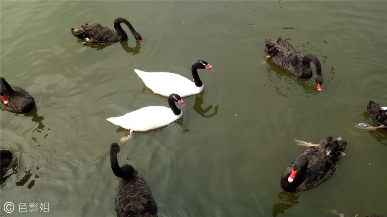 三天三夜欢乐长隆之旅（附攻略）