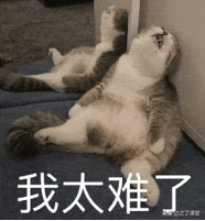 双十一的会计处理到底应该怎么做：付尾款退全款，会计忙死了