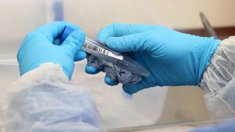 「新增3685」爱尔兰科克医药工厂将负责辉瑞新冠药片的全球供应