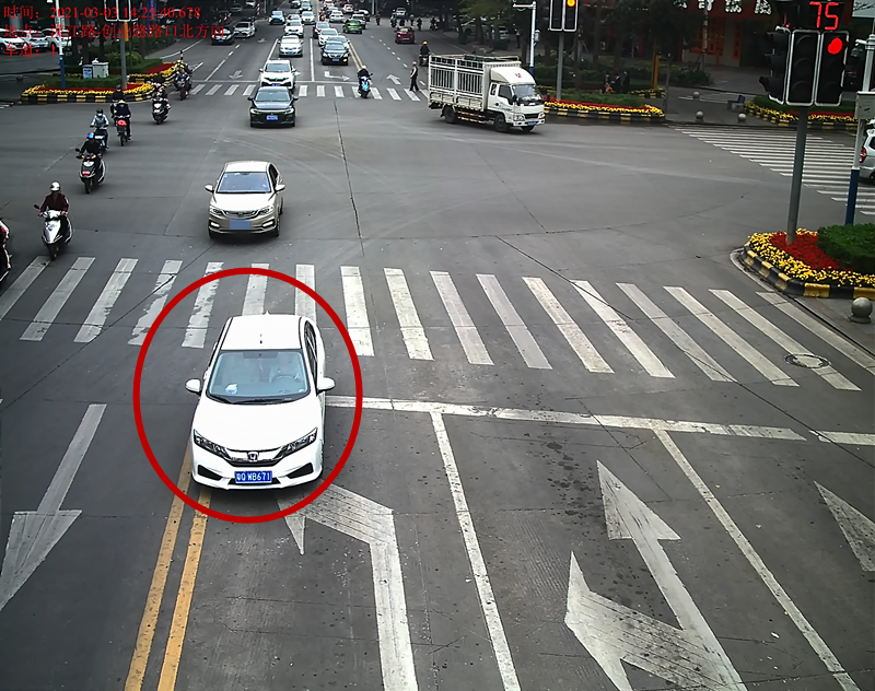 交通违法曝光！