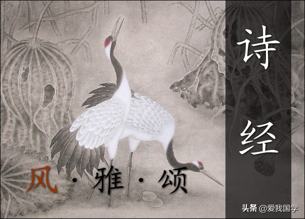 《诗经》首篇《芣苢》读音解析及文学价值探析
