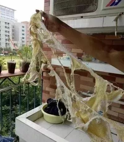 不會“有味”的植物毛巾，抗菌率99%，3秒吸水，旅游、日常必備