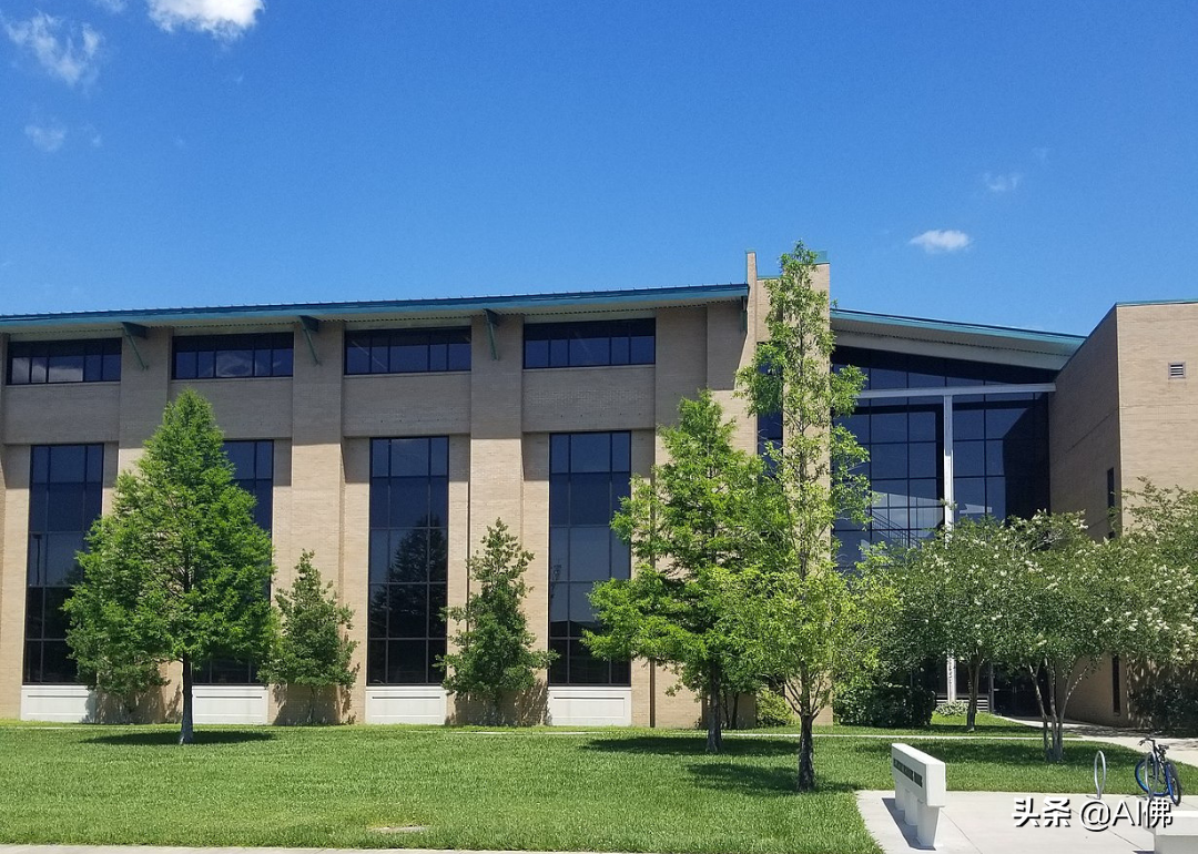 美国最自由的公立大学