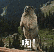 银行真实借款利率是多少？不看这个标注，很多人肠子都悔青了