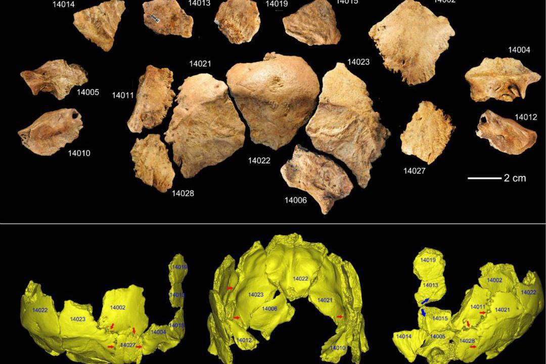 中国人非本地起源？研究：现代人抵达华南不超过6万年