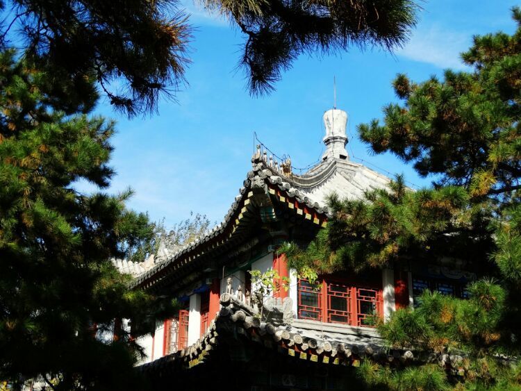 北大印象，漫步北大校园