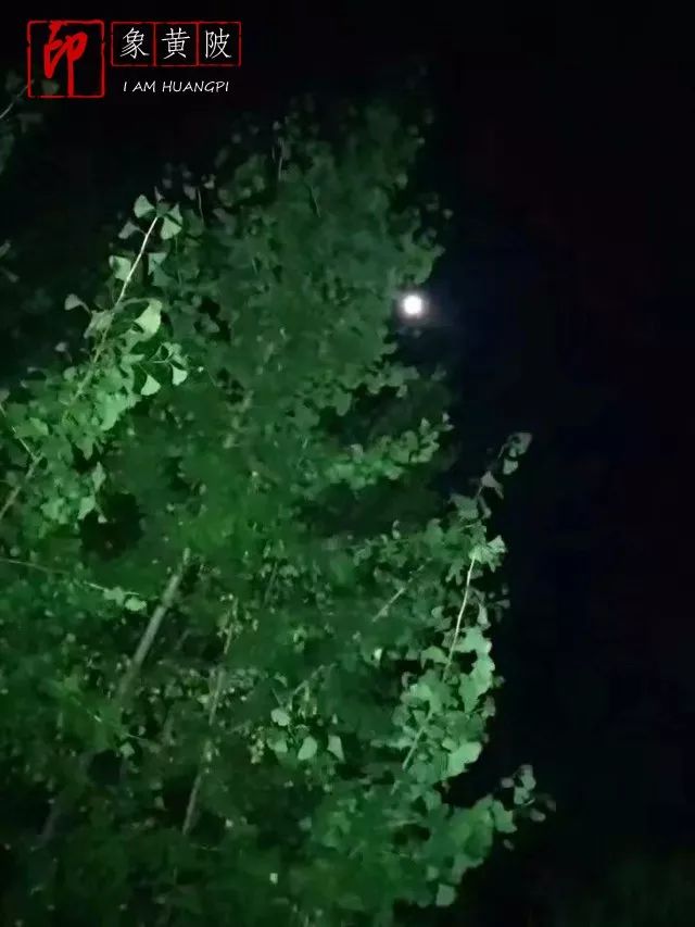 今夜月明人尽望，不知秋思落谁家
