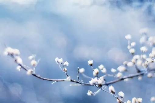 11首现代诗歌，静静的去聆听吧