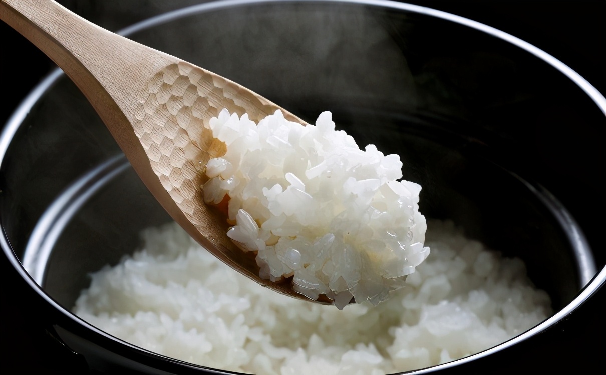 狗吃什么好（带你了解十种狗能吃的人类食物）