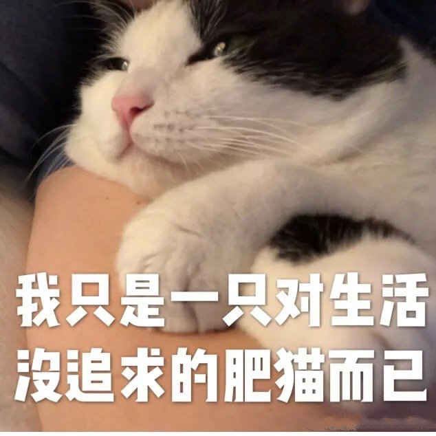 表情包：我只是一只对生活没追求的肥猫