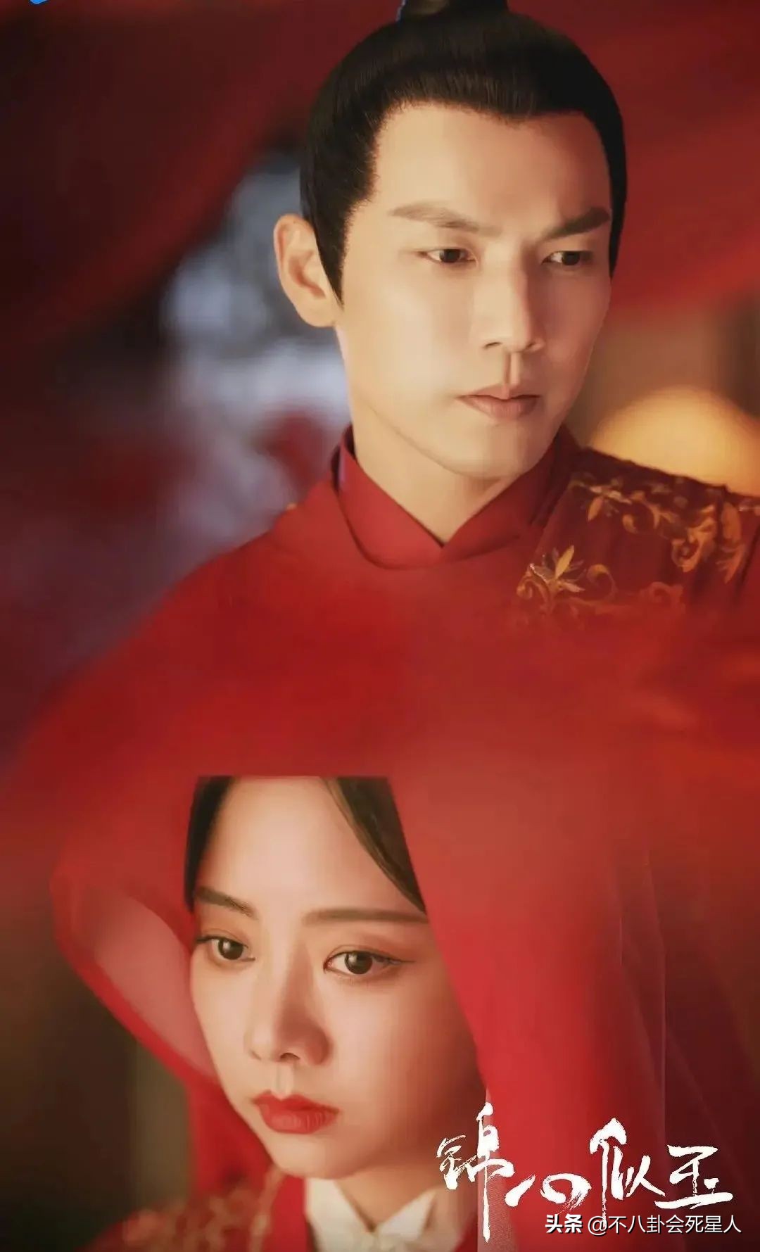 电视剧排行榜2021最新排名最新电视剧大全