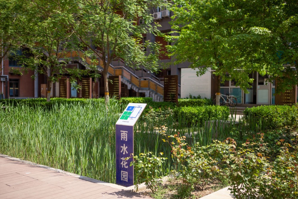 央视、新华社等主流媒体纷纷点赞！短短几个月，交大为何“强势霸屏”？