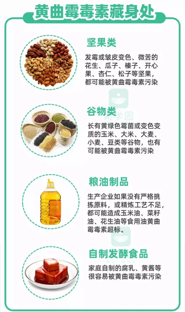 怎么给孩子吃油？哪种油更好？看完这篇就懂了