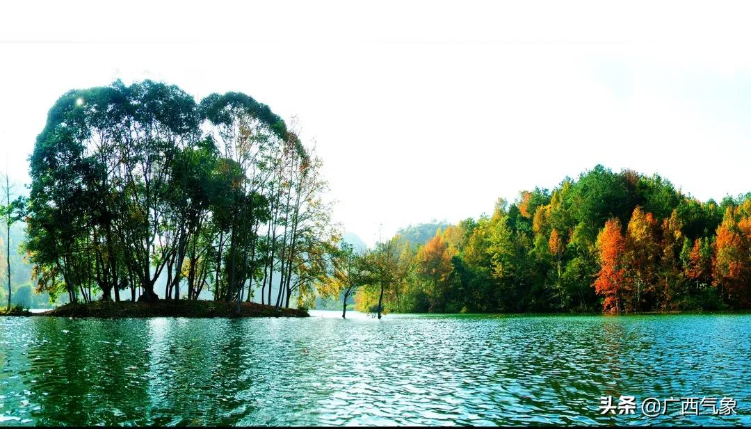 又美又涼快 德保是什么神仙地方