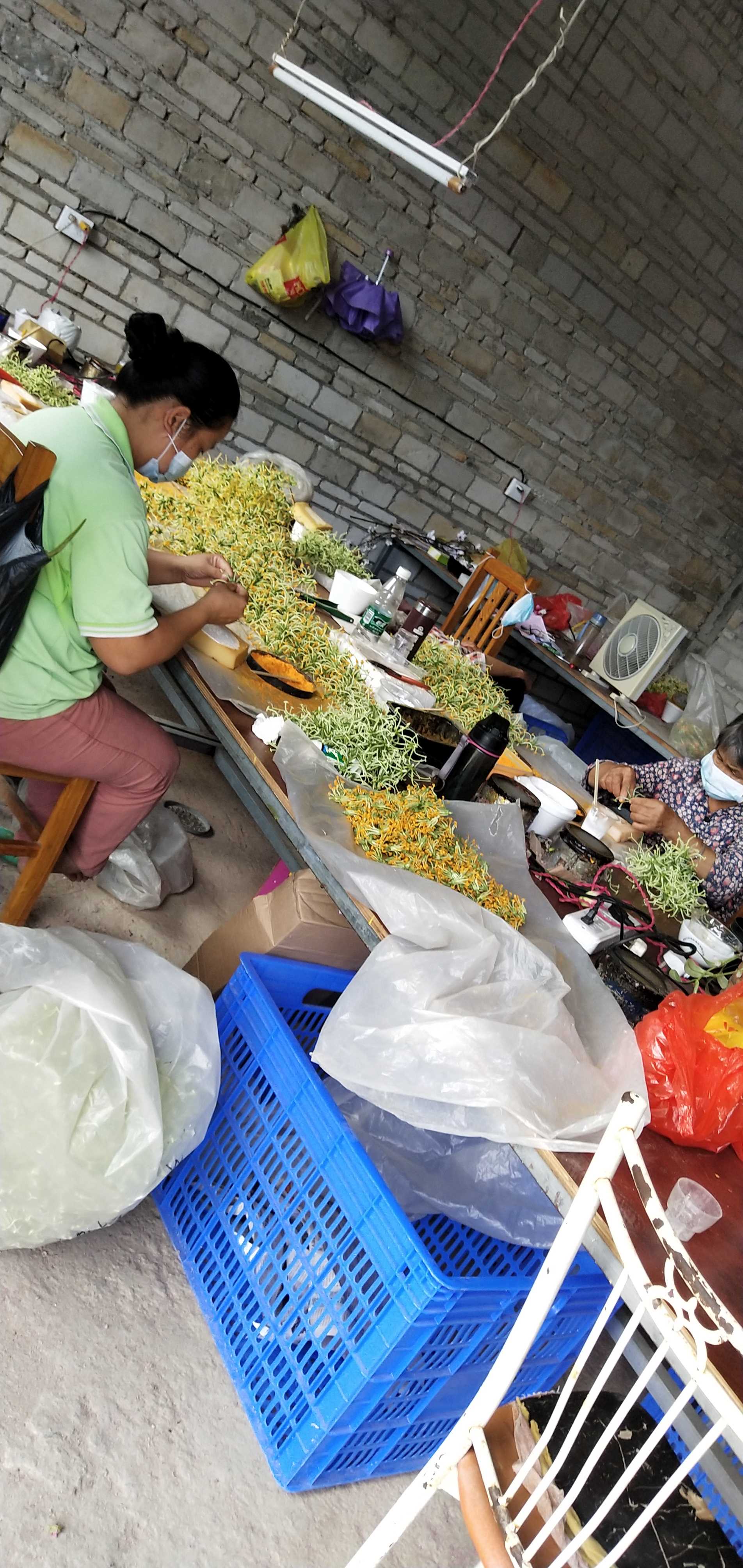 仿真花怎么加工的仿真花加工能挣多少钱