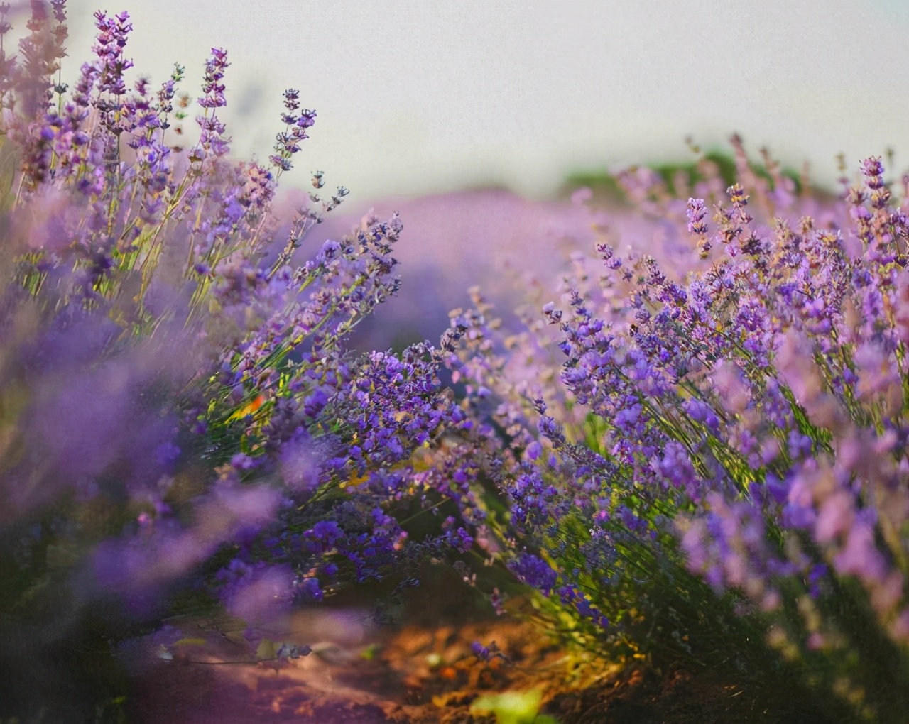 往后余生，做一个“聋哑”人，三不问