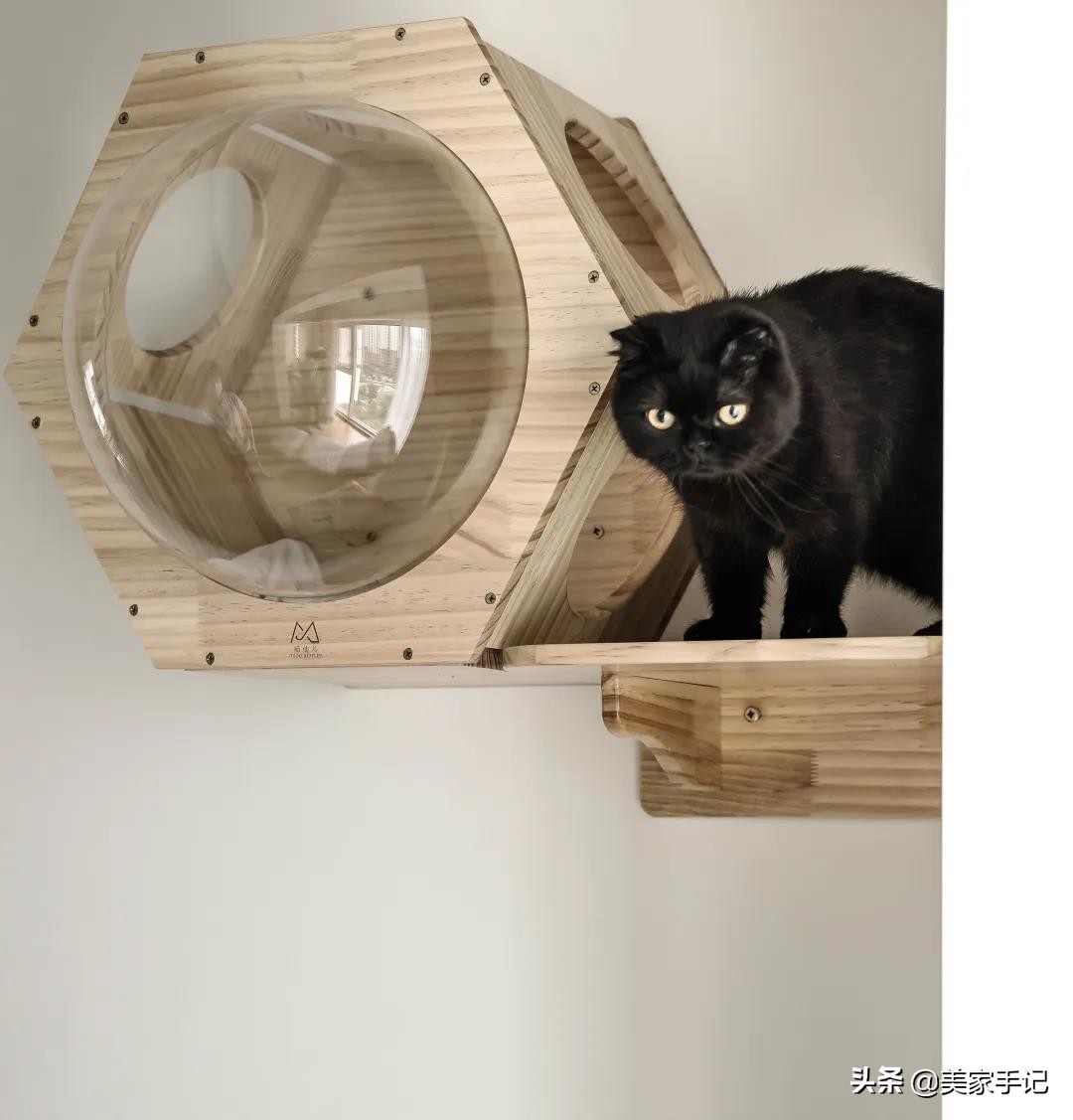 她家不豪华，可还是进门就把我迷住，白墙、原木、少造型，太美了