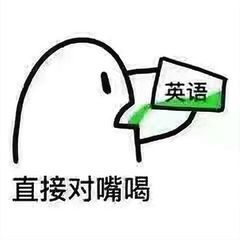 手机快速翻译秘诀：一扫即译，操作超简单