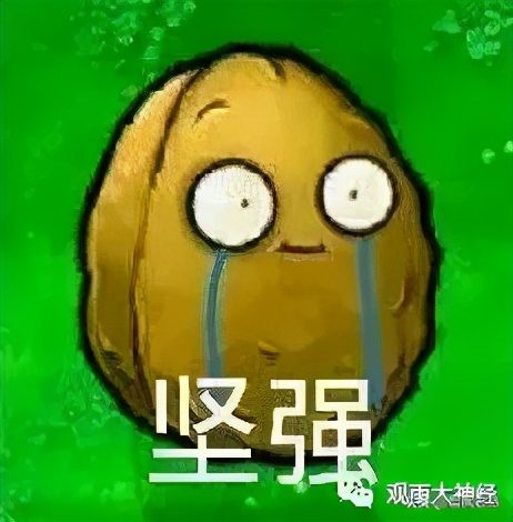 巨人折戟，清帝国是怎么输掉甲午战争的？