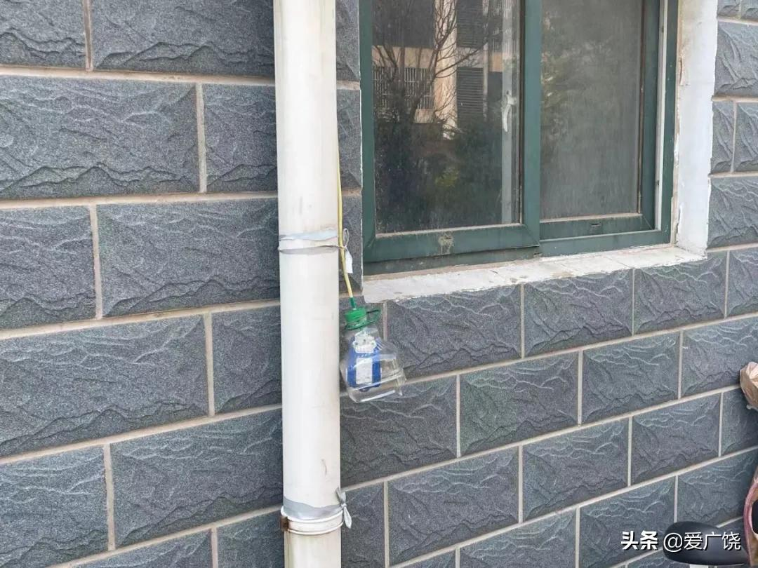 屡禁不止！！广饶同和、同悦、新城花园小区被实名曝光