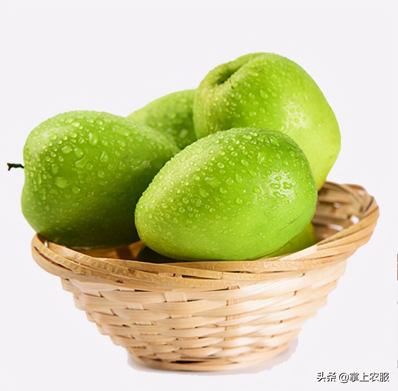 绿色的枣子味道像梨图片