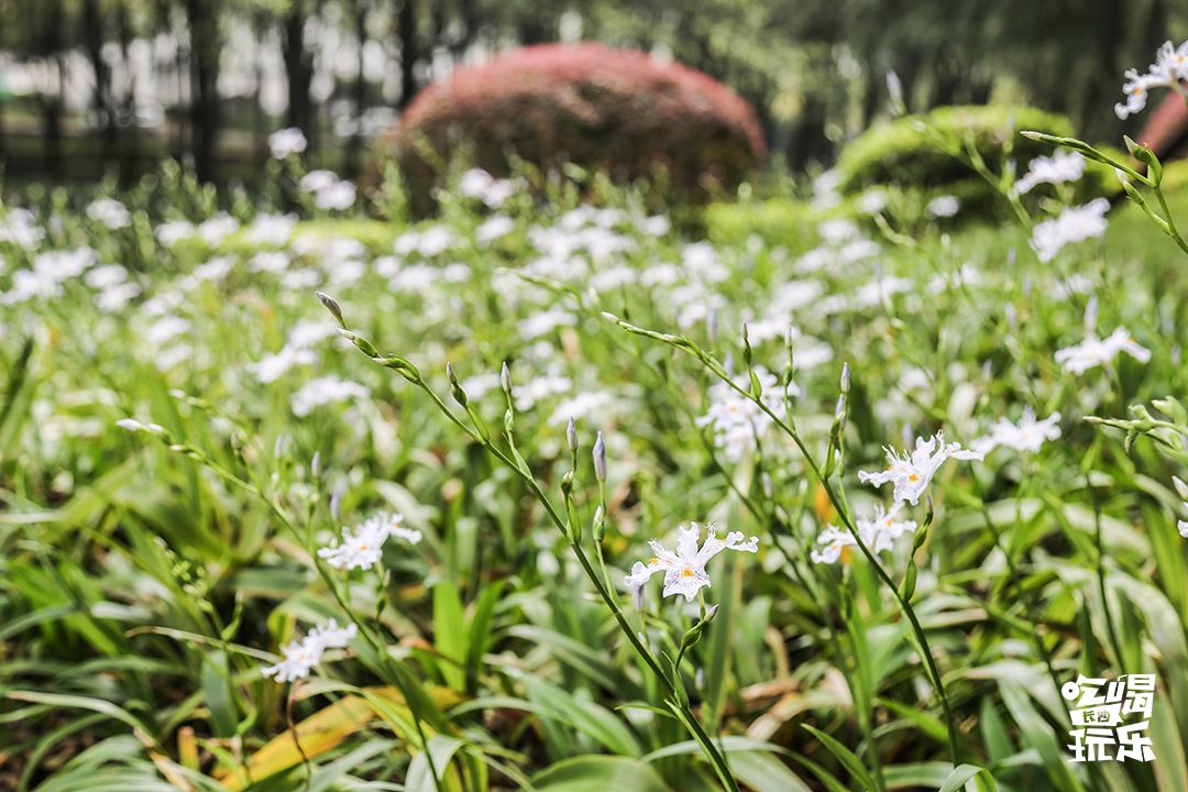 长大，不说再见！