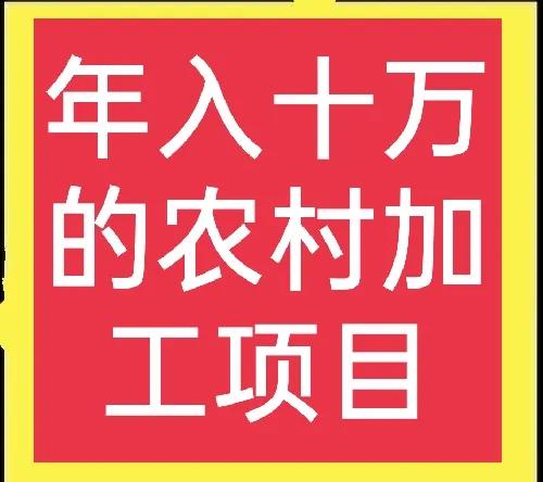 農(nóng)村辦廠好項目,農(nóng)村辦廠好項目推薦