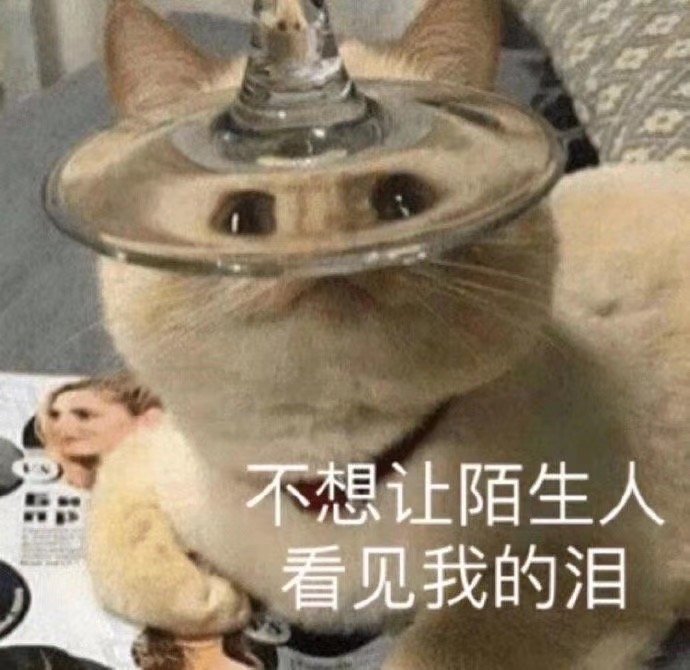 猫猫表情包合集｜你是猪头吗？