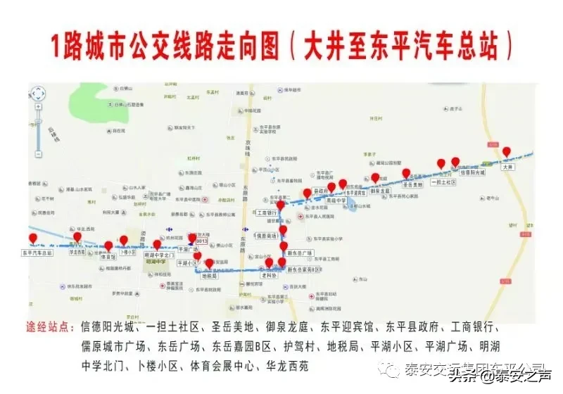 3月18日最新！泰安这些公交、长途线路班车恢复了！（附线路及发车时间）