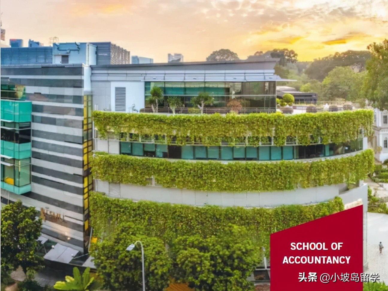 留学申请攻略丨新加坡管理大学会计学院专业有哪些？