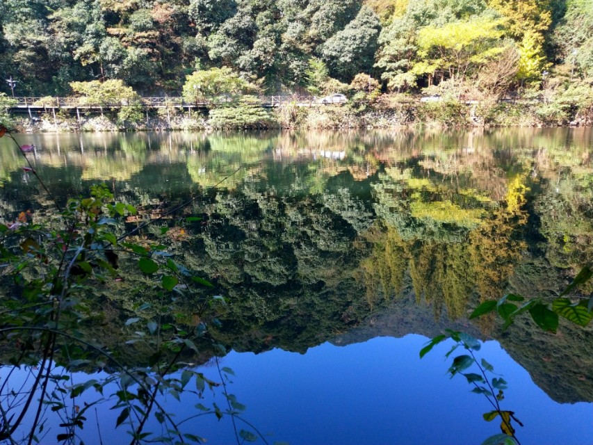 人生时时得温泉，风光旖旎身心爽:不慕天池鸟，甘做温泉人