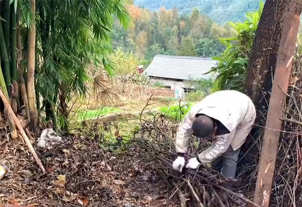 他改造荒废23年的农村小院，将废旧院子变成世外桃园，网友：向往