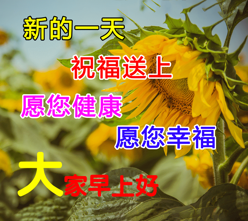 开心一笑图片和文字(开心一笑早安图片)-情感知识库-donow知识库