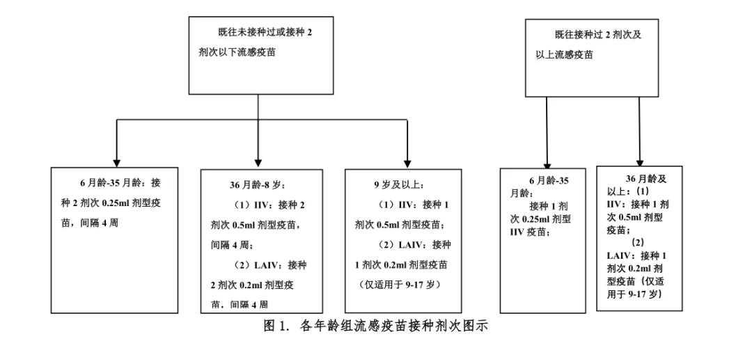 警惕！流感≠感冒，宝宝出现这4种情况，抓紧就医