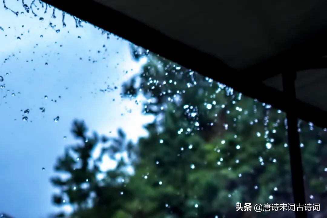 雨里有四季，雨里有年华