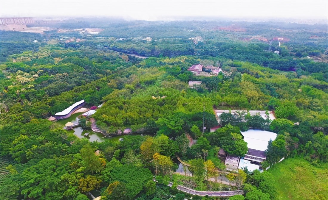 茂名市广东茂名森林公园