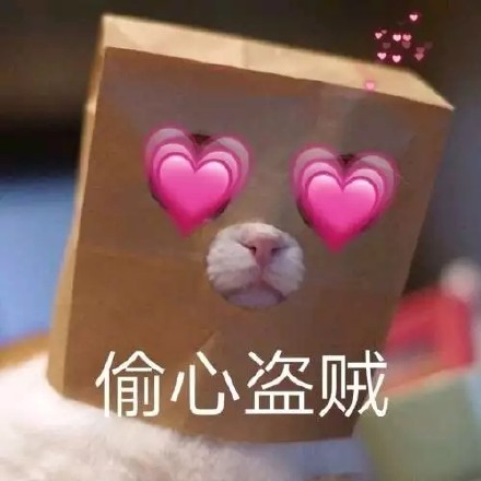 猫咪表情包合集｜你都没有胸，凶什么凶