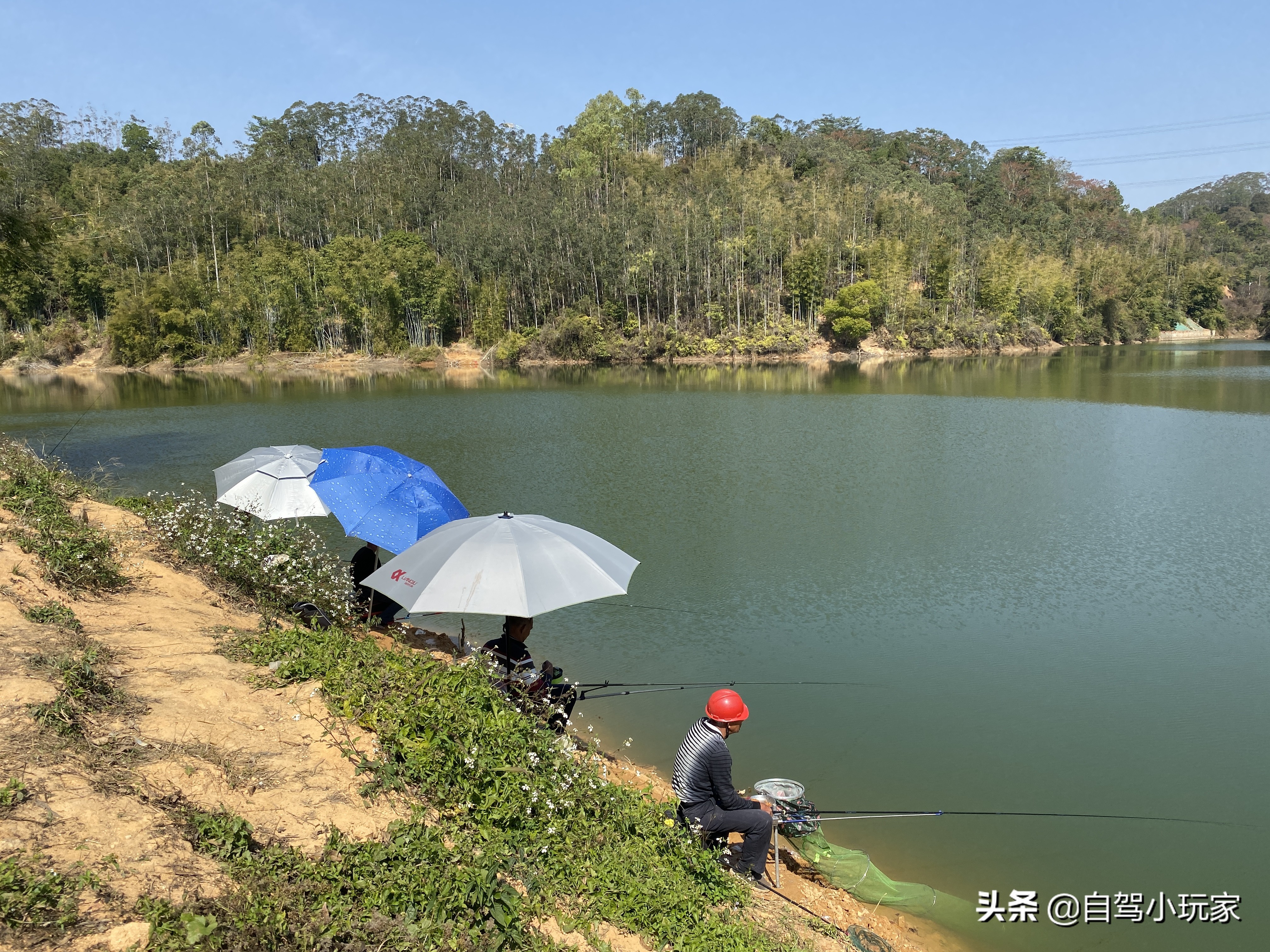 广州好玩的地方(广州这5个地方真是绝了！不要门票，可以露营，还可以免费钓鱼哦)