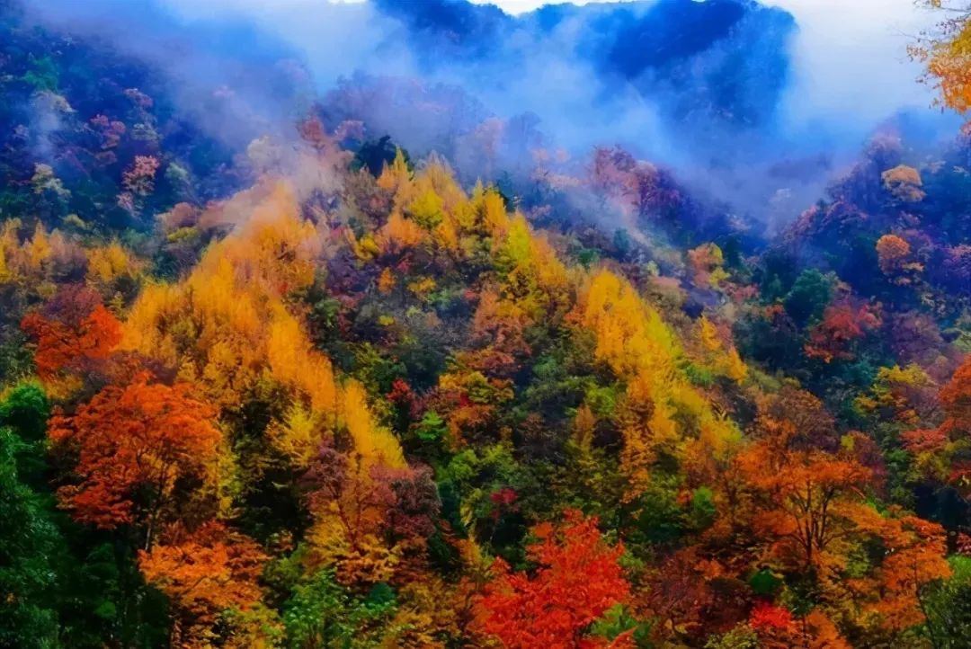 关于九月的风景说说配图「幽默」 _qq说说网