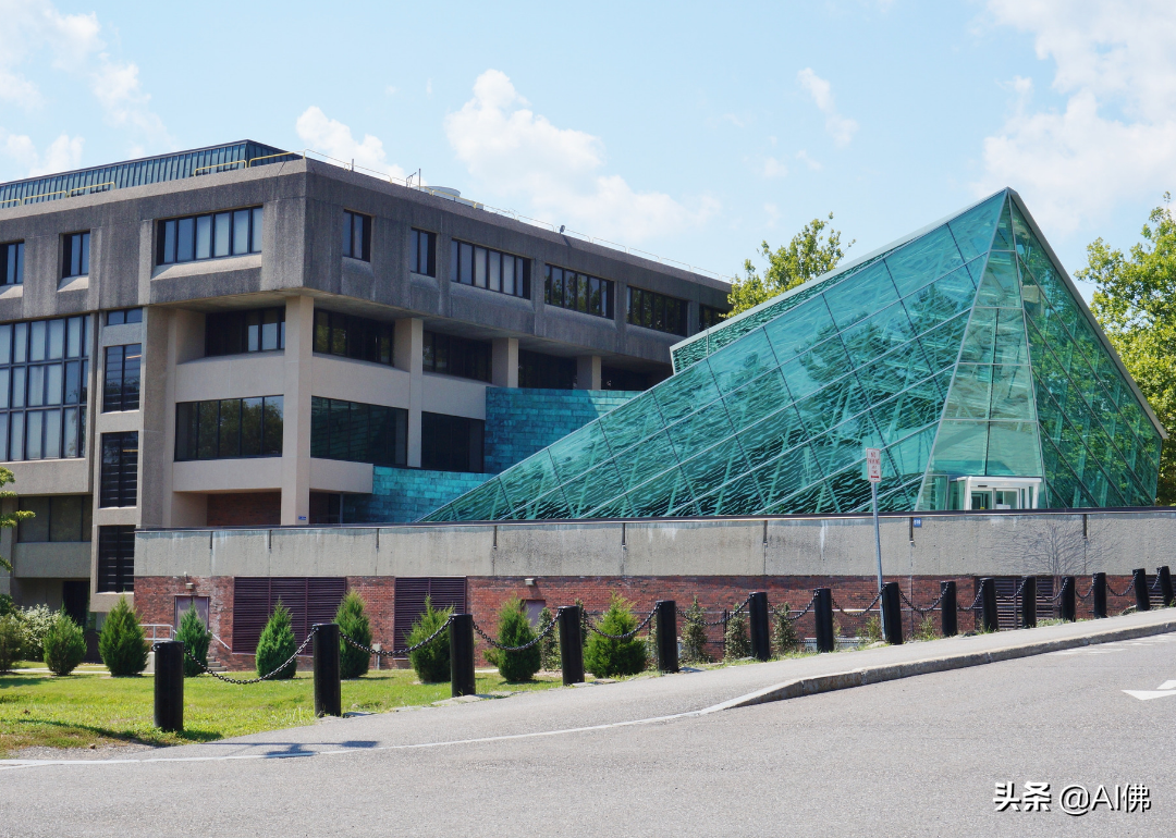 美国最自由的公立大学