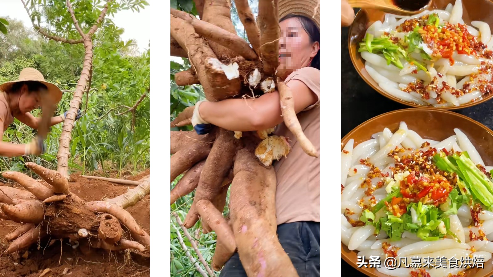 木薯安全食用指南：去除毒素的正确烹饪方法