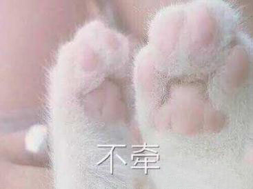 猫爪子牵手表情包｜牵手成功