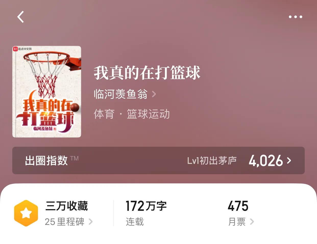 几本篮坛小说，在故事中我们看不到逝去，看到的是重新的辉煌