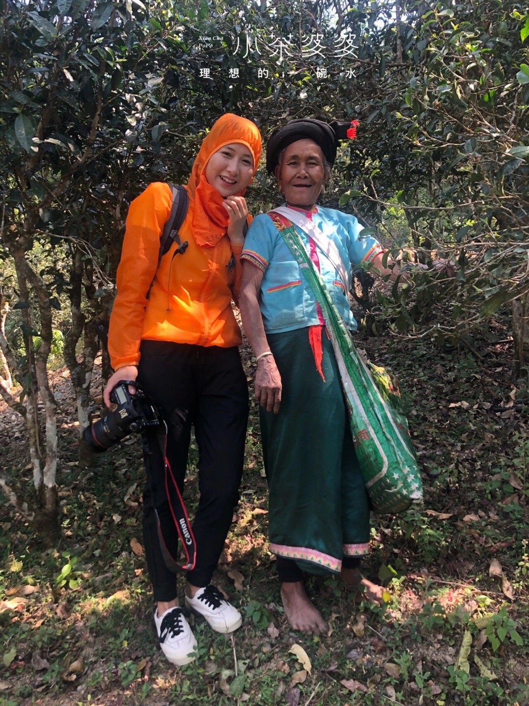 寻香景迈 | 景迈山是云南最美的茶山，云海养心，姑娘养眼