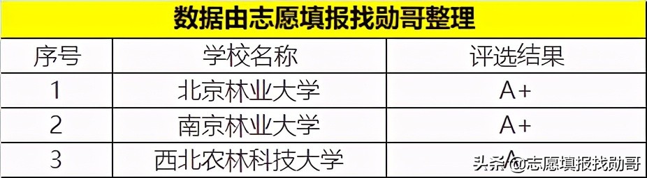 这所985大学，特别“平易近人”，高考600分都不用，就能上