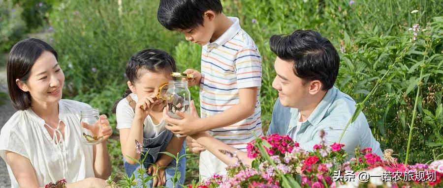 8大模式12种类型，教你打造“爆款”休闲农业