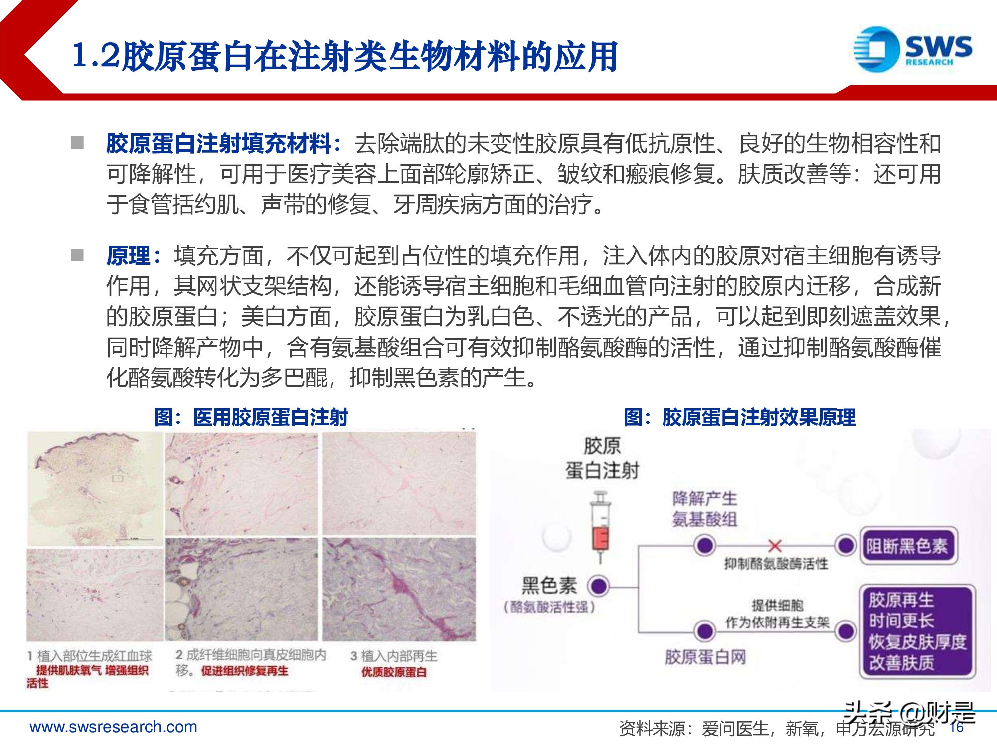 胶原蛋白行业深度研究报告：生物医药材料下一个风口